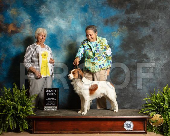 Kooikerhondje #5 Sat G3 Judge Gloria Kerr_SSR_8263_Ablne2019-HR