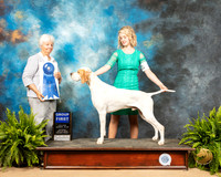 Pointer #5 Sat G1 Judge Gloria Kerr