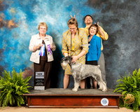 Schanzuer #5 Sat NCh Judge Judith Brown