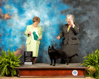 Schipperkee #7 Sat OHG3 Judge Patricia Trotter