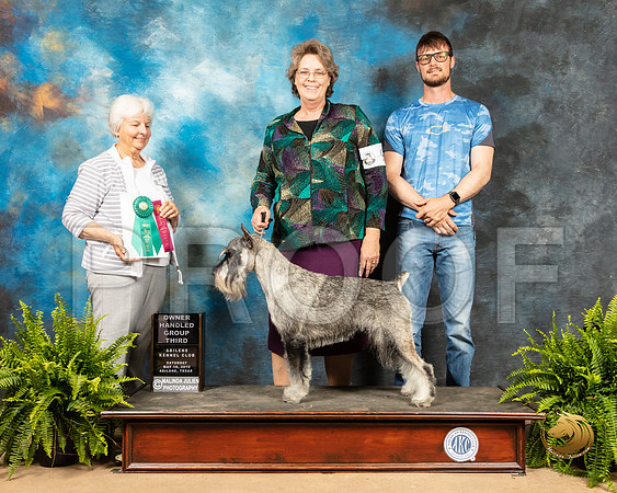 Schnauzer #9 Sta OHG3_SSR_8206_Ablne2019-HR