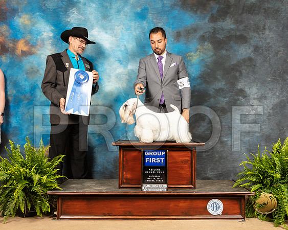 Sealyham Terrier #9 Sat G1 Judge Lee Herr_SSR_8208_Ablne2019-HR