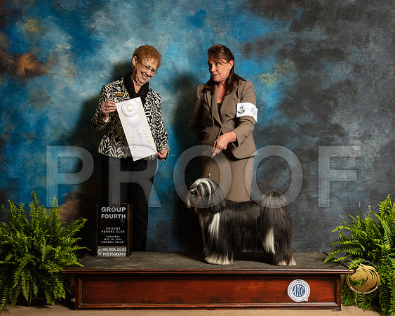 Tibetan Terrier #5 Sat G4 Judge Patricia Hastings_SSR_8248_Ablne2019-HR