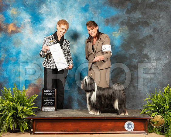 Tibetan Terrier #5 Sat G4 Judge Patricia Hastings_SSR_8250_Ablne2019-HR