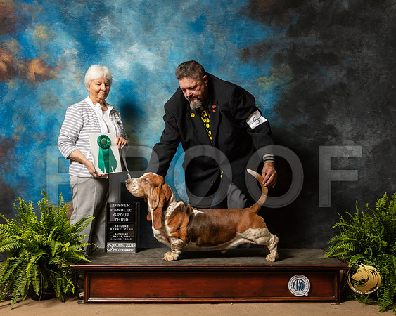 Basset Hound #5 Sat OHG3 Judge Gloria Kerr_SSR_8317_Ablne2019-HR