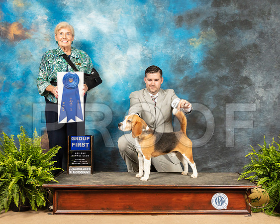 Beagle #17 Sat g1 Judge Toddie Clark_SSR_8287_Ablne2019-HR