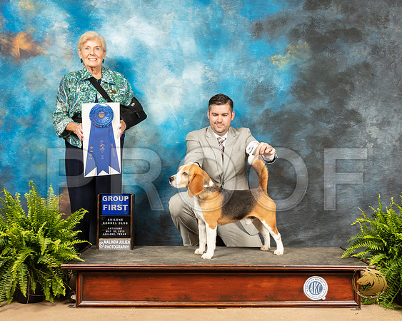 Beagle #17 Sat g1 Judge Toddie Clark_SSR_8288_Ablne2019-HR