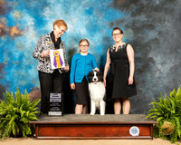 Border Collie #5 Sat BOB Judge Patricia Hastings