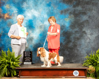 Cavalier King Charles Spanile #7 Sat OHG2 Judge Gloria Kerr