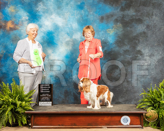 Cavalier King Charles Spanile #7 Sat OHG2 Judge Gloria Kerr_SSR_8349_Ablne2019-HR