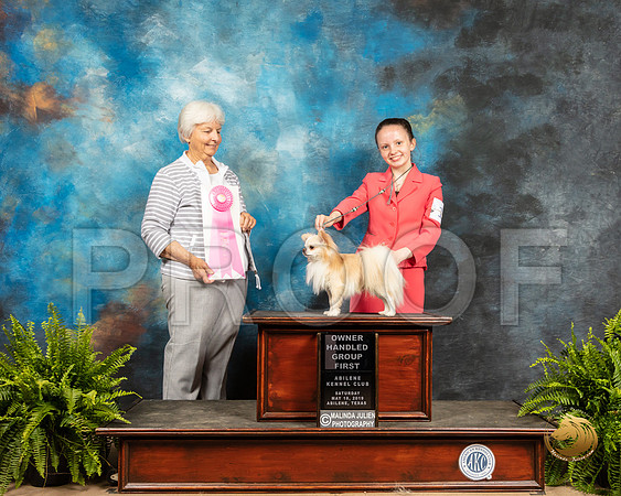 Chihuahua Long Coat #19 Sat OHG1 Judge Gloria Kerr_SSR_8369_Ablne2019-HR