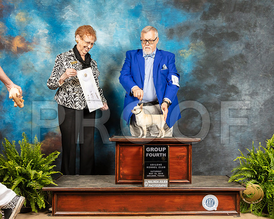 Chihuahua Smooth #12 Sat G4 Judge Patricia Hastings_SSR_8336_Ablne2019-HR