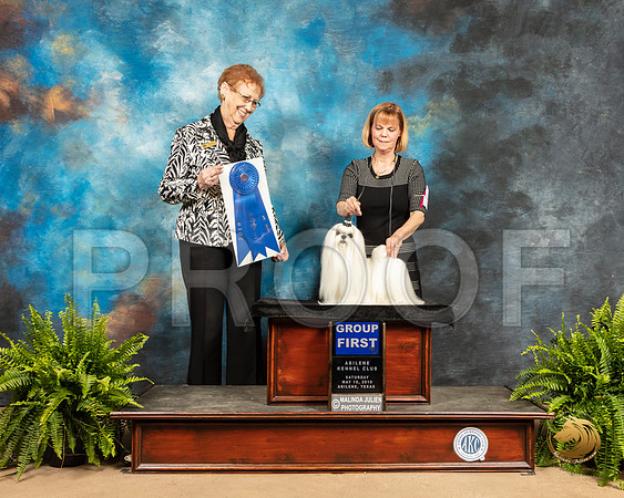 Maltese #7 Sat G1 Judge Patricia Hastings_SSR_8330_Ablne2019-HR