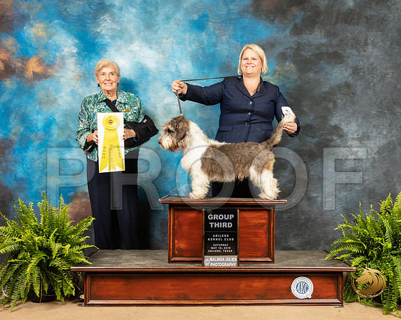 PBGV #5 Sat G3 Judge Toddie Clark_SSR_8294_Ablne2019-HR