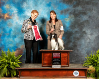 Papillon #8 Sat G2 Judge Patricia Hastings