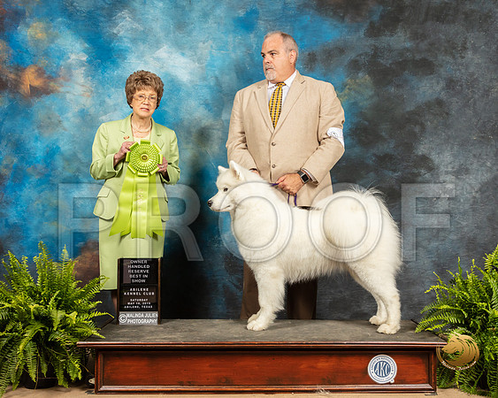 Samoyed #8 Sat OHRBIS Judge Patricia Trotter_SSR_8354_Ablne2019-HR
