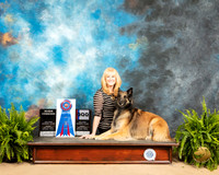 Belgian Tervuren #R22 Sun QQQ HC