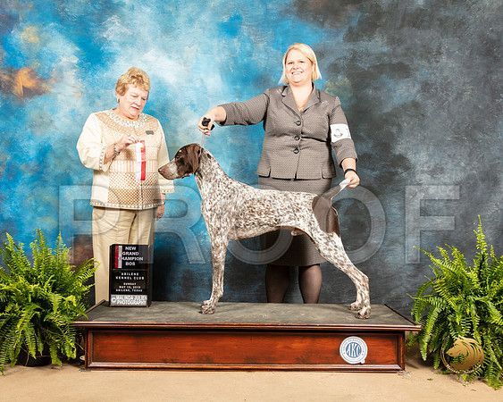 German Shorthaired Pointer #12 Sun BOS Judge Judith Brown_SSR_8456_Ablne2019-HR
