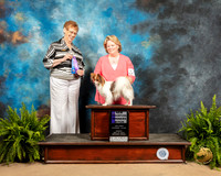 Papillon #16 Sun WB Judge Patricia Hastings