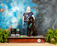 Poodle Std #R51 Sun RNov
