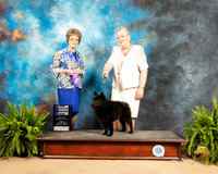 Schipperkee #15 Sun WD NCh Judge Patricia Trotter