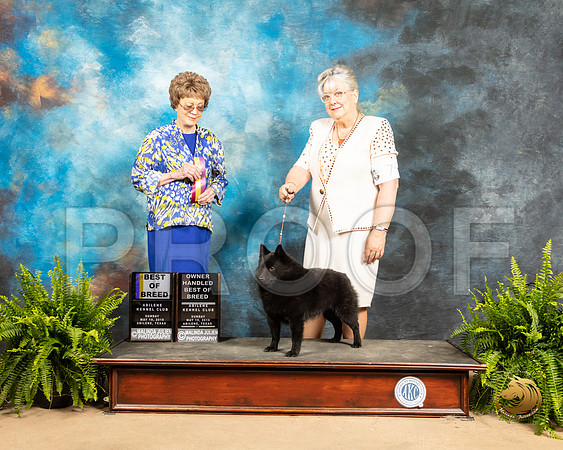 Schipperkee #7 Sun BOB OHBOB Judge Patricia Trotter_SSR_8428_Ablne2019-HR