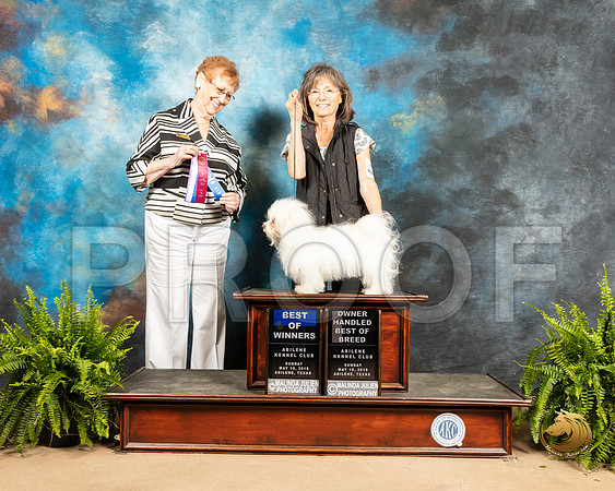 Coton #8 Sun BOW Judge Patricia Hastings_SSR_8440_Ablne2019-HR