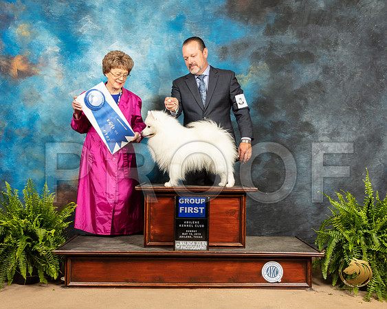 American Eskimo #5 Sun G1 Judge Patricia Trotter_SSR_8545_Ablne2019-HR