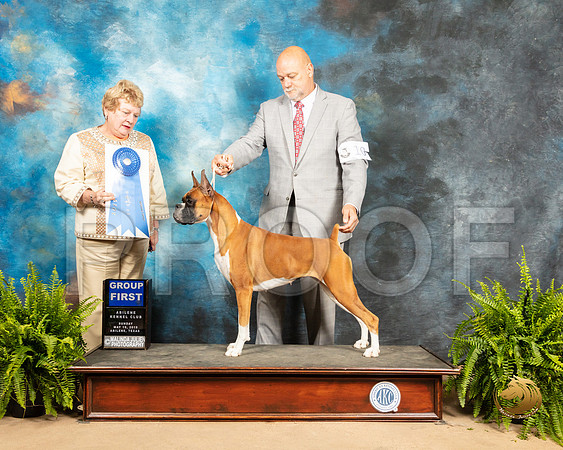 Boxer #10 Sun G1 Judge Judith Brown_SSR_8522_Ablne2019-HR