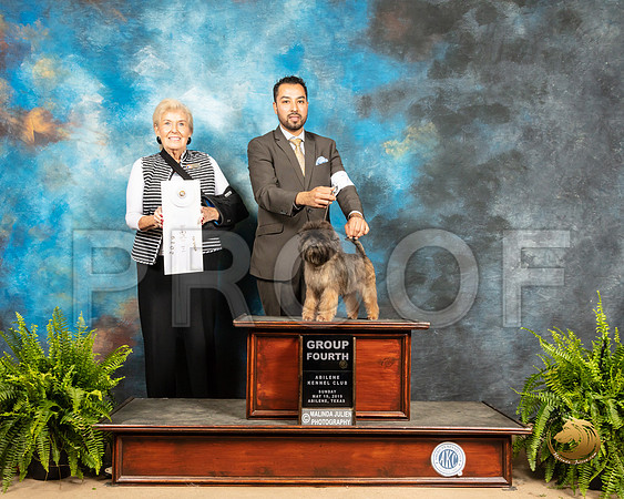 Affenpinscher #7 Sun G4 Judge Toddie Clark_SSR_8612_Ablne2019-HR