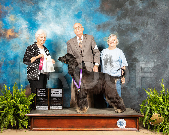 Afghan Hound #8 Sun OHG4 Judge Gloria Kerr_SSR_8591_Ablne2019-HR