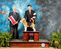 Beagle #9 Sun G2 Judge Houston Clark