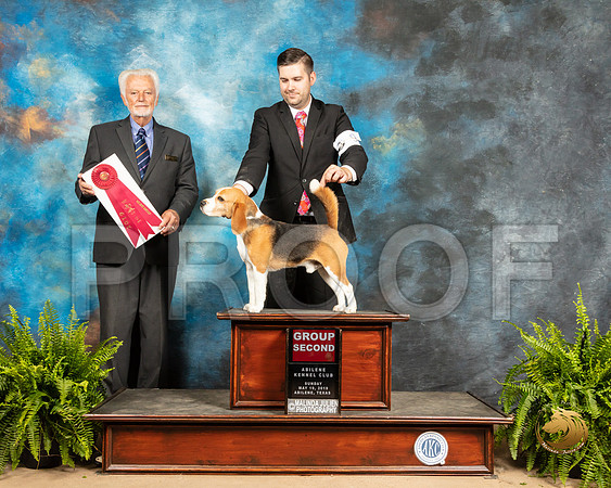 Beagle #9 Sun G2 Judge Houston Clark_SSR_8558_Ablne2019-HR