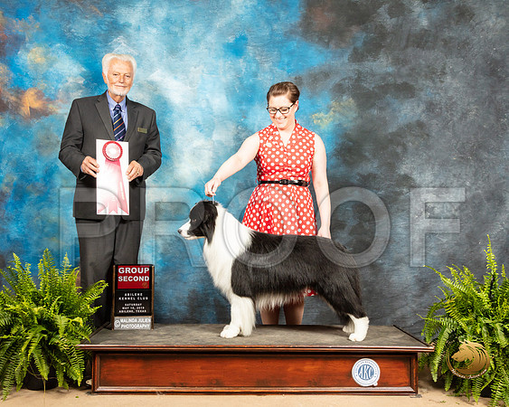 Border Collie #15 Sat G2 Judge Houston Clark_SSR_8588_Ablne2019-HR