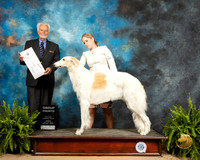 Borzoi #14 Sun G4 Judge Houston Clark