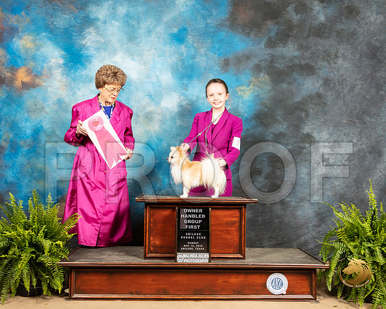 Chihuahua #19 Sun OHG1 Judge Patricia Hastings_SSR_8622_Ablne2019-HR