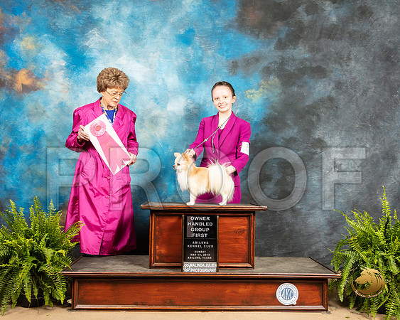 Chihuahua #19 Sun OHG1 Judge Patricia Hastings_SSR_8624_Ablne2019-HR