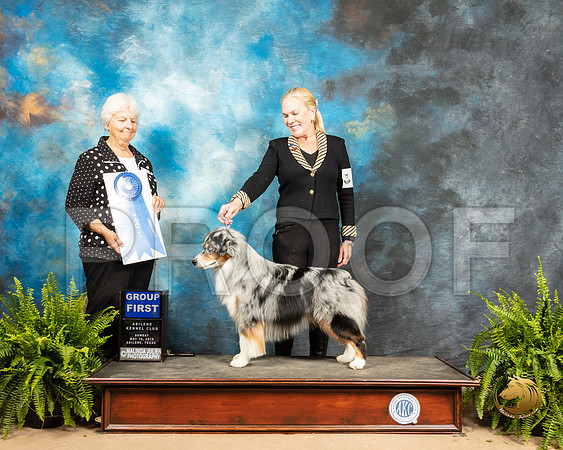 Miniature American Shepherd #7 Sun G1 Judge Gloria Kerr_SSR_8571_Ablne2019-HR