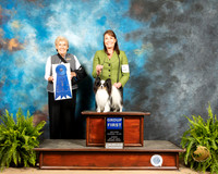 Papillon #8 Sun G1 Judge Toddie Clark
