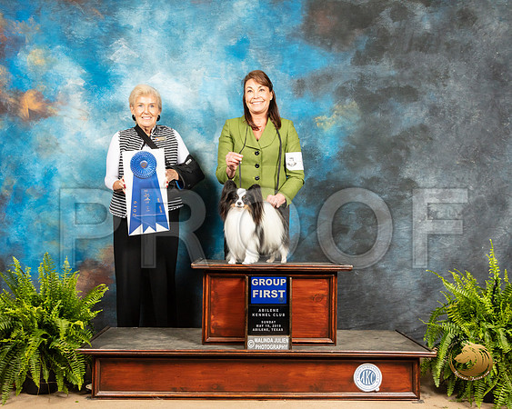 Papillon #8 Sun G1 Judge Toddie Clark_SSR_8596_Ablne2019-HR