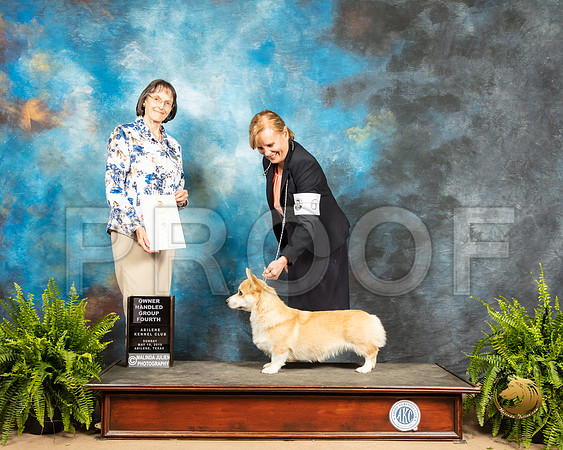 Pembroke Welsh Corgi #6 Sun OHG4 Judge Linda Scanlon_SSR_8618_Ablne2019-HR