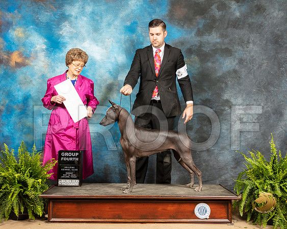 Xolo #10 Sun G4 Judge Patricia Trotter_SSR_8566_Ablne2019-HR