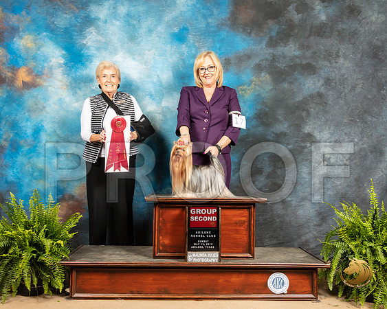 Yorkshire #17 Sun G2 Judge Toddie Clark_SSR_8604_Ablne2019-HR