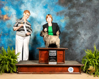 Cairn Terrier #14 Sun WB Judge Patricia Hastings