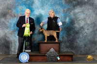 Border Terrier #5 Mon OHRBIS Judge Gerard Penta