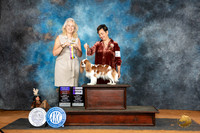 Cavalier King Charles Spaniel #8 Sun BOB Judge Pamela Wilson