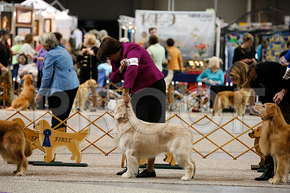 Vet10-12-0672-WFOct2013-HR