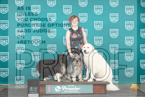 Sheltie GrPry Schn #613 Sat__JP_2970_Premier_2024_HR3