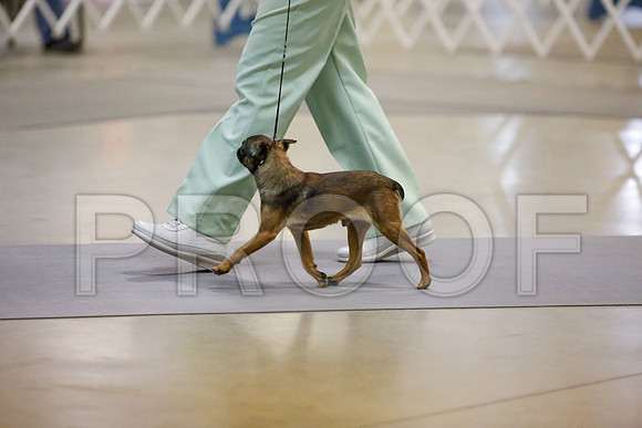 _JJ_8821-AmarilloSept2014-HR3