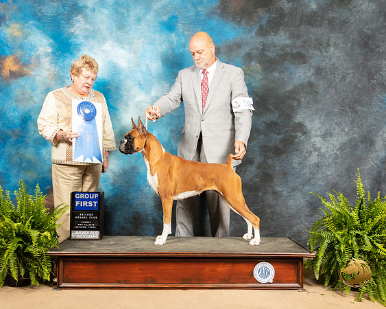 Boxer #10 Sun G1 Judge Judith Brown_SSR_8522_Ablne2019-HR